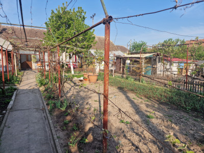 Casa individuala de vanzare cu 4 camere si teren de 800 mp - Recas imagine mica 20, foxfort.ro