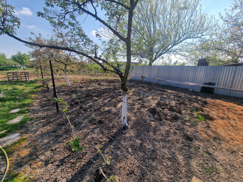 Casa individuala de vanzare cu 7 camere - Recas 14, foxfort.ro