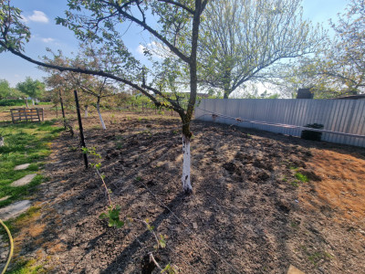 Casa individuala de vanzare cu 7 camere - Recas imagine mica 14, foxfort.ro