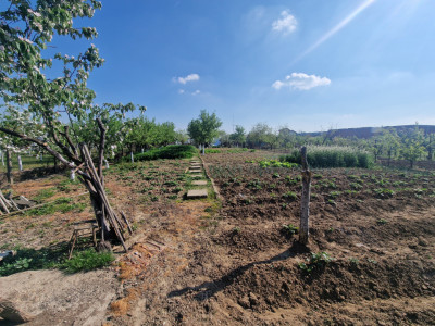 Casa individuala de vanzare cu 7 camere - Recas imagine mica 20, foxfort.ro