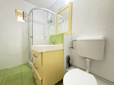 Apartament cu 2 camere de vanzare in zona Torontalului imagine mica 18, foxfort.ro