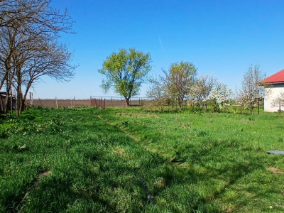 Casa individuala cu 4 camere in zona Dudestii Noi imagine mica 13, foxfort.ro