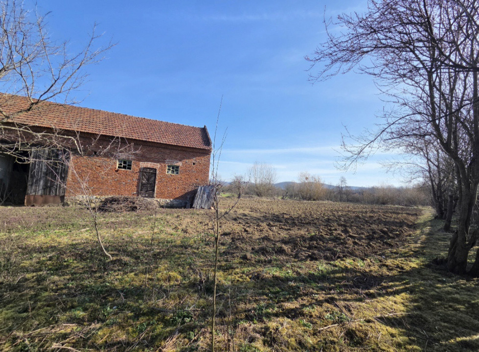 Casa individuala cu 1440 mp teren, 4 camere, Barzava, Lalasint 3, foxfort.ro