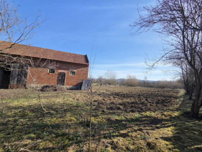 Casa individuala cu 1440 mp teren, 4 camere, Barzava, Lalasint imagine mica 3, foxfort.ro
