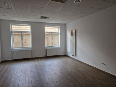 Spatiu comercial cu 16 incaperi - zona Mehala imagine mica 4, foxfort.ro