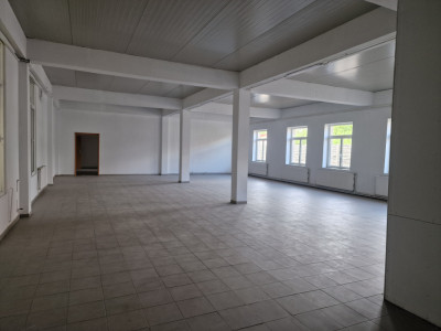 Spatiu comercial cu 16 incaperi - zona Mehala imagine mica 7, foxfort.ro