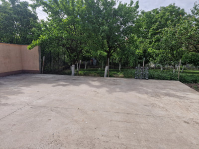 Spatiu comercial cu 16 incaperi - zona Mehala imagine mica 27, foxfort.ro