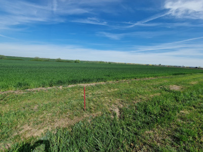 Teren extravilan de 9500 mp de vanzare in Remetea Mare