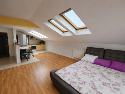 Apartament cu 2 camere de vanzare in Timisoara, zona Buziasului