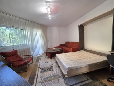 Apartament cu 2 camere de inchiriat in Arad, Micalaca imagine mica 5, foxfort.ro