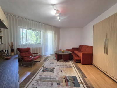 Apartament cu 2 camere de inchiriat in Arad, Micalaca imagine mica 9, foxfort.ro