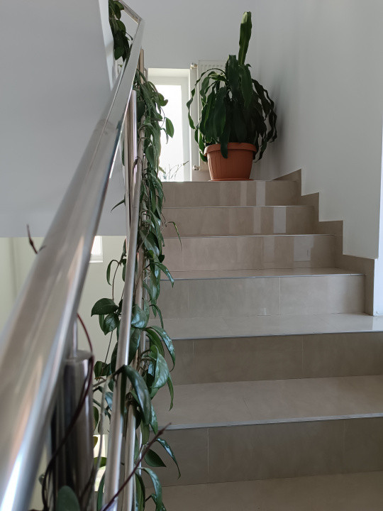 COMISION 0 % Apartament 2 camere 66 mp cu 86 mp gradina, la vila 20, foxfort.ro