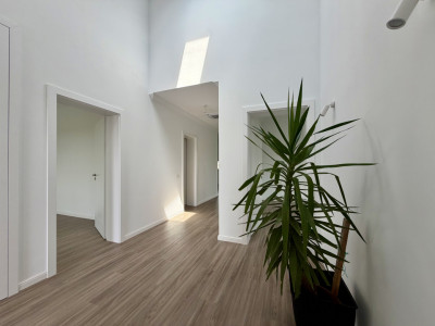 Casa individuala superba cu 4 camere, in Sanandrei imagine mica 3, foxfort.ro