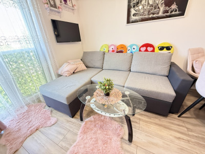 COMISION 0% Apartament cu 2 camere de inchiriat in Dumbravita imagine mica 8, foxfort.ro