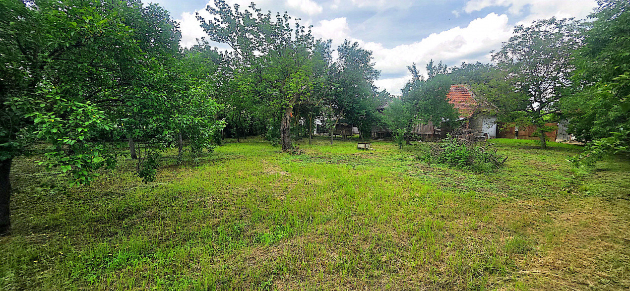 Casa individuala cu 5 camere de vanzare in localitatea Ineu 24, foxfort.ro