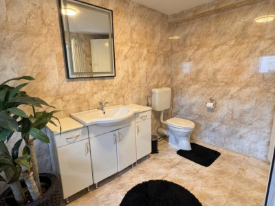 Apartament la curte comuna cu intrare separata, zona Dambovita imagine mica 8, foxfort.ro