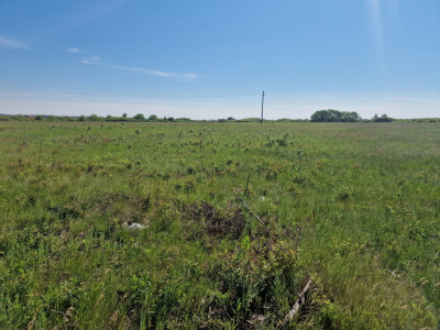 Teren de 5000 mp de vanzare in Mosnita Veche