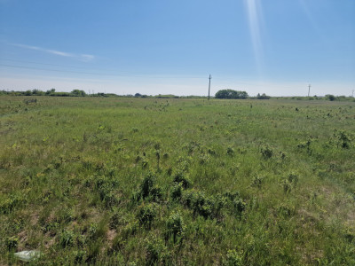 Teren de 5000 mp de vanzare in Mosnita Veche imagine mica 2, foxfort.ro