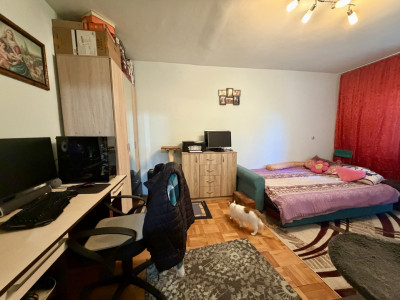 Apartament cu 2 camere, etaj 3 - zona Lipovei imagine mica 4, foxfort.ro