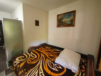 Apartament cu o camera de vanzare in zona Buziasului imagine mica 2, foxfort.ro