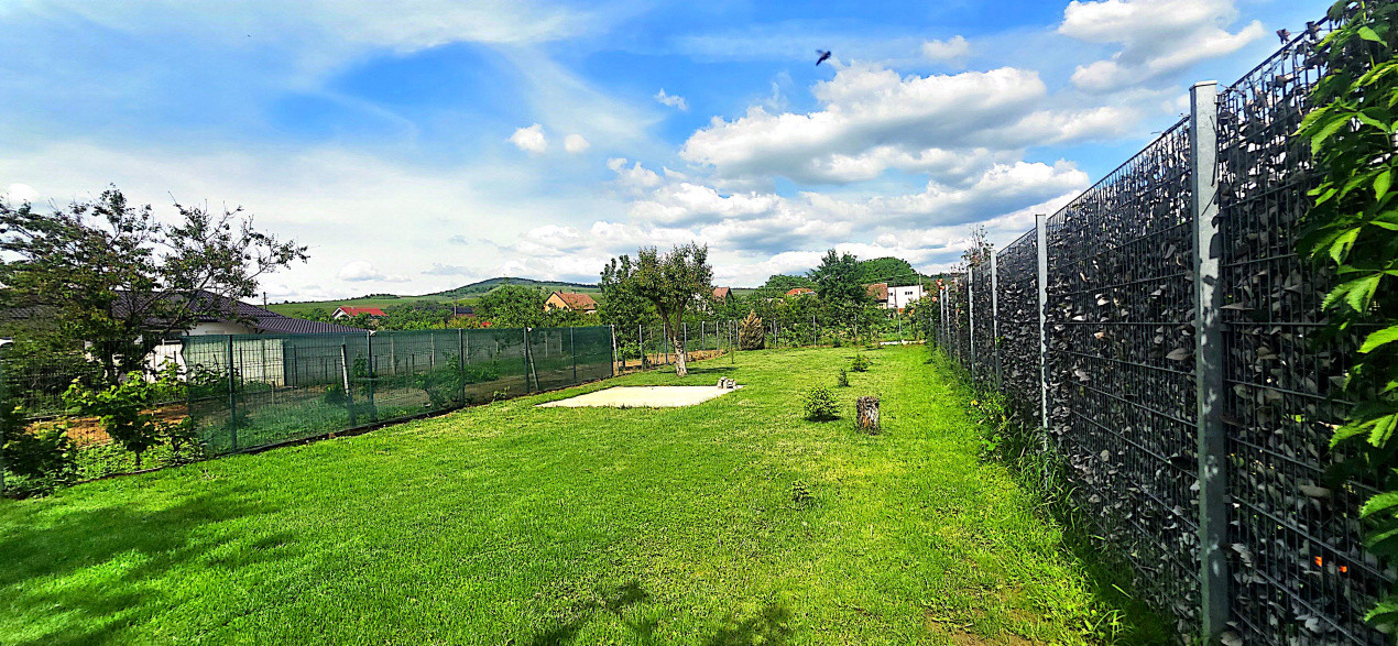 Casa individuala cu 5 camere de vanzare in localitatea Minis 17, foxfort.ro