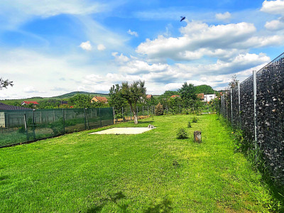 Casa individuala cu 5 camere de vanzare in localitatea Minis imagine mica 17, foxfort.ro