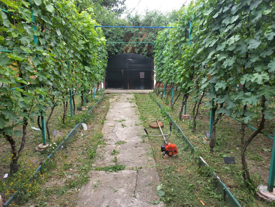 Casa individuala de vanzare in Timisoara | Potential extindere | Teren 421 mp 1, foxfort.ro