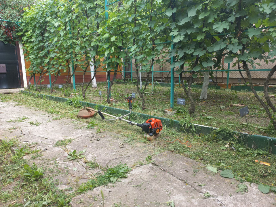 Casa individuala de vanzare in Timisoara | Potential extindere | Teren 421 mp 5, foxfort.ro