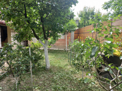 Casa individuala de vanzare in Timisoara | Potential extindere | Teren 421 mp imagine mica 9, foxfort.ro