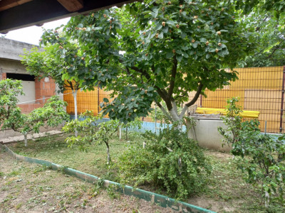 Casa individuala de vanzare in Timisoara | Potential extindere | Teren 421 mp imagine mica 10, foxfort.ro