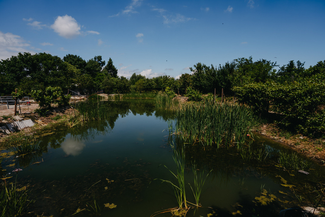Casa individuala cu 8 camere si lac cu pesti, teren 4424 mp - Jebel 3, foxfort.ro