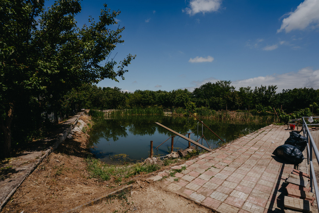 Casa individuala cu 8 camere si lac cu pesti, teren 4424 mp - Jebel 30, foxfort.ro