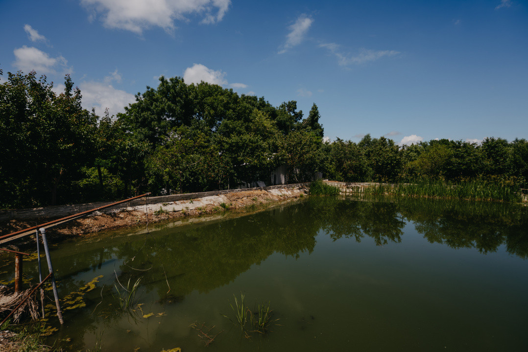Casa individuala cu 8 camere si lac cu pesti, teren 4424 mp - Jebel 31, foxfort.ro