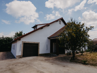 Casa individuala cu 8 camere si lac cu pesti, teren 4424 mp - Jebel imagine mica 6, foxfort.ro
