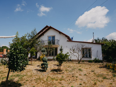 Casa individuala cu 8 camere si lac cu pesti, teren 4424 mp - Jebel imagine mica 29, foxfort.ro