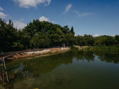 Casa individuala cu 8 camere si lac cu pesti, teren 4424 mp - Jebel imagine mica 31, foxfort.ro