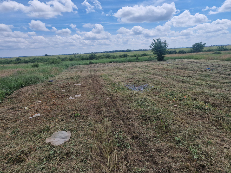 Teren intravilan de 743 mp in Mosnita Veche 2, foxfort.ro