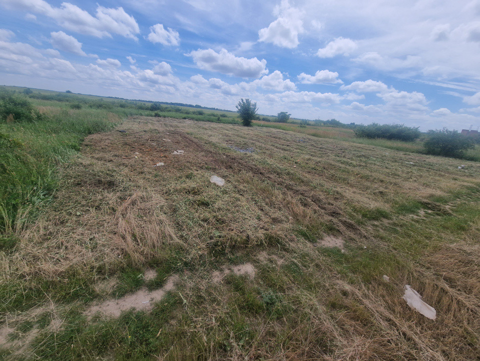 Teren intravilan de 743 mp in Mosnita Veche 4, foxfort.ro