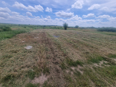 Teren intravilan de 743 mp in Mosnita Veche imagine mica 3, foxfort.ro