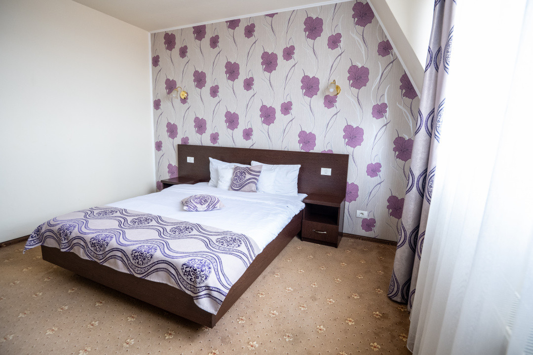 Hotel Miky Arad de vanzare bussiness operational functional - 38 camere 9, foxfort.ro