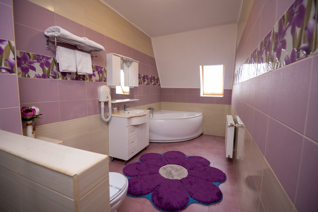 Hotel Miky Arad de vanzare bussiness operational functional - 38 camere 11, foxfort.ro