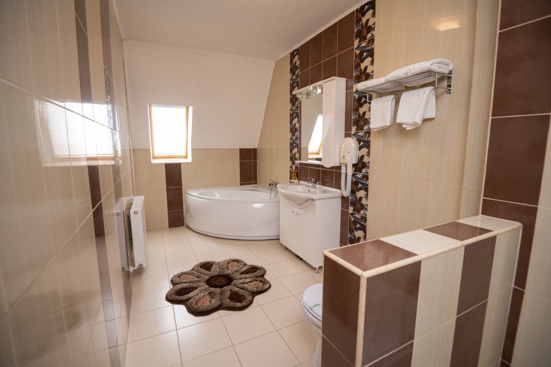 Hotel Miky Arad de vanzare bussiness operational functional - 38 camere 14, foxfort.ro