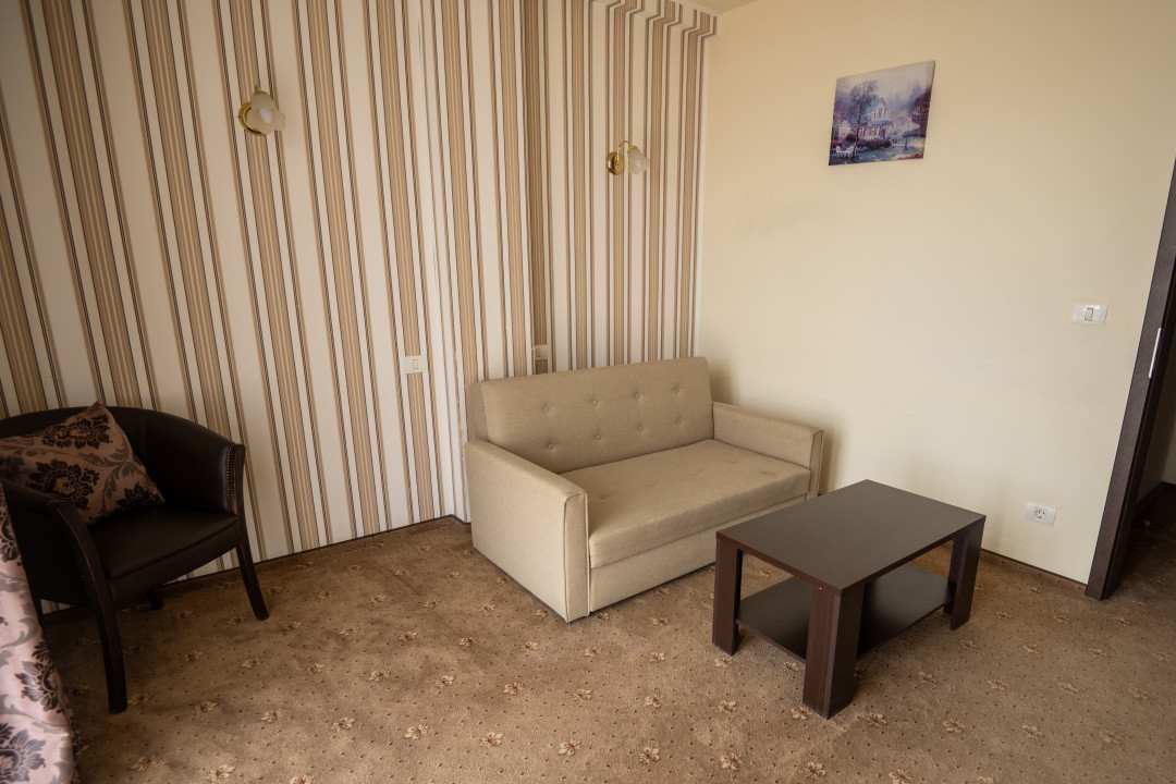 Hotel Miky Arad de vanzare bussiness operational functional - 38 camere 25, foxfort.ro