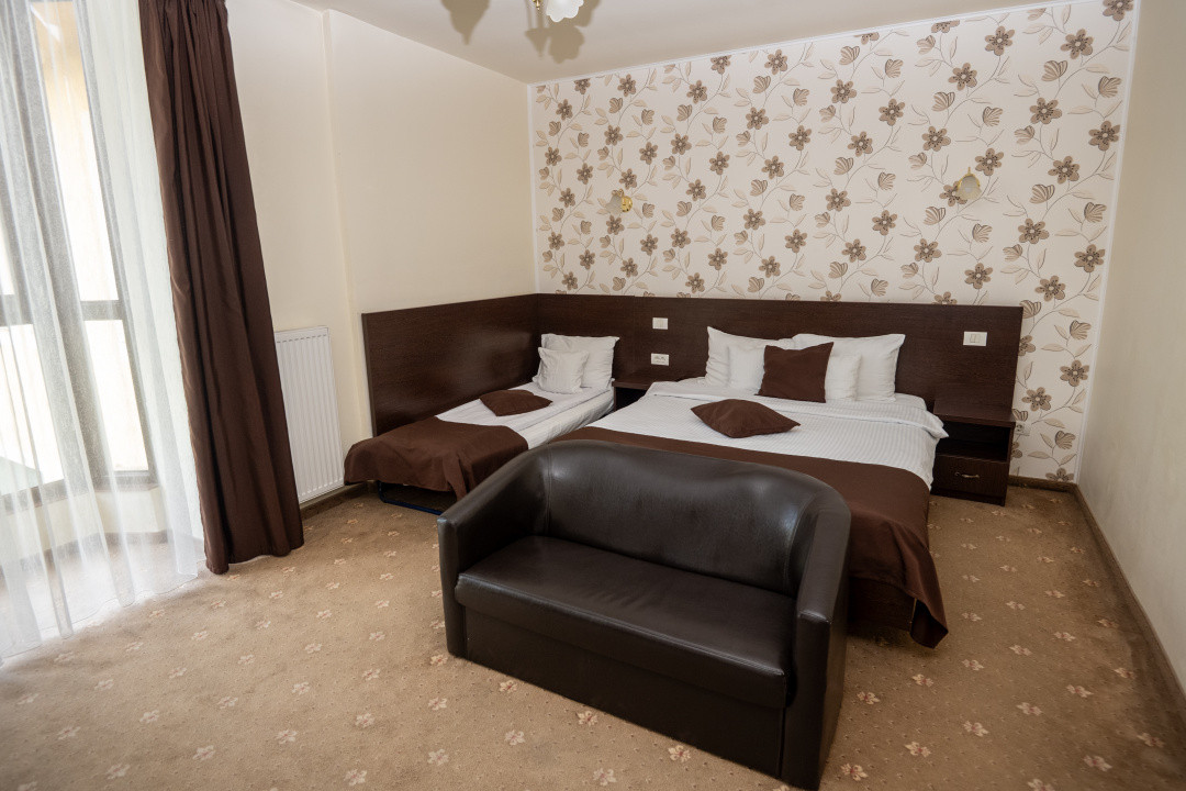 Hotel Miky Arad de vanzare bussiness operational functional - 38 camere 30, foxfort.ro