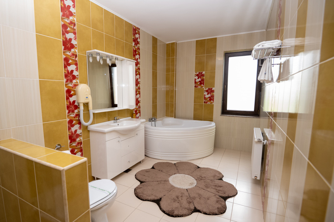 Hotel Miky Arad de vanzare bussiness operational functional - 38 camere 34, foxfort.ro