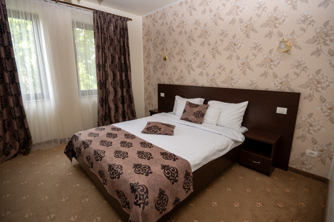 Hotel Miky Arad de vanzare bussiness operational functional - 38 camere 35, foxfort.ro