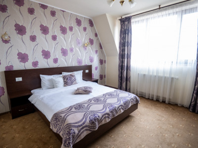 Hotel Miky Arad de vanzare bussiness operational functional - 38 camere imagine mica 8, foxfort.ro