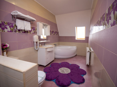 Hotel Miky Arad de vanzare bussiness operational functional - 38 camere imagine mica 11, foxfort.ro
