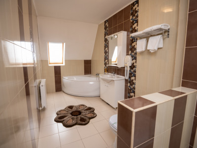 Hotel Miky Arad de vanzare bussiness operational functional - 38 camere imagine mica 14, foxfort.ro