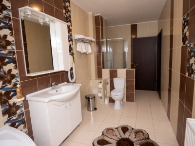 Hotel Miky Arad de vanzare bussiness operational functional - 38 camere imagine mica 15, foxfort.ro
